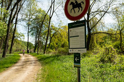avd_20260503_110929_A7402382