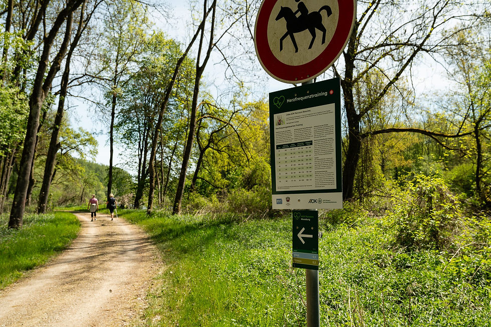 avd_20260503_110929_A7402382
