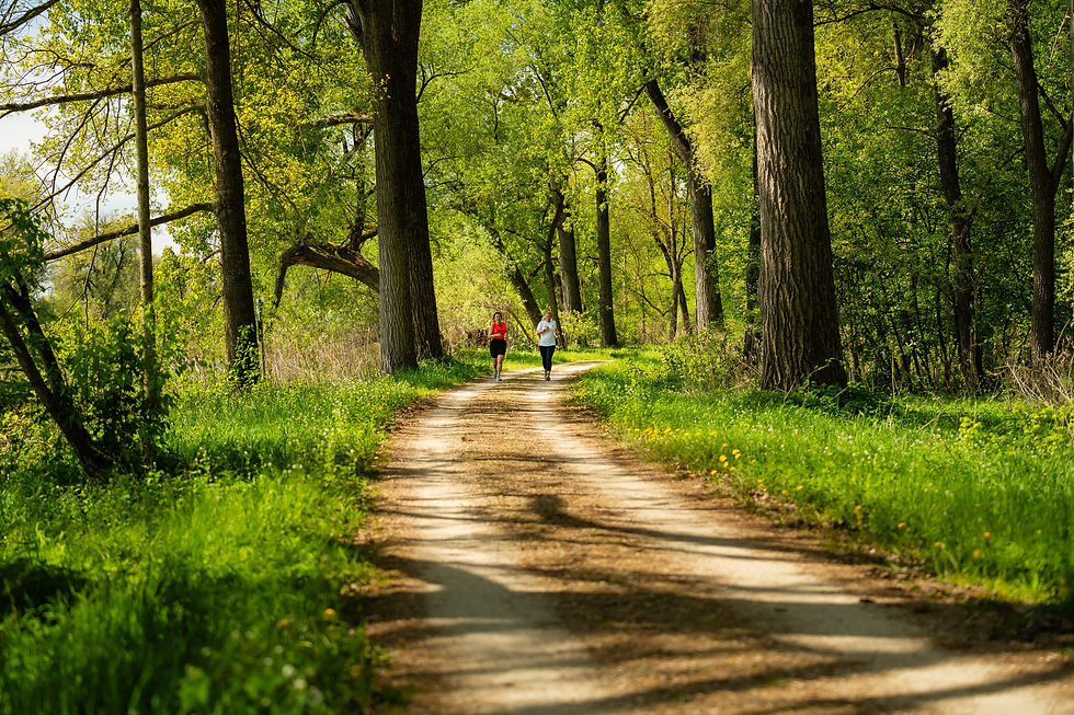 avd_20260503_112801_A7402519