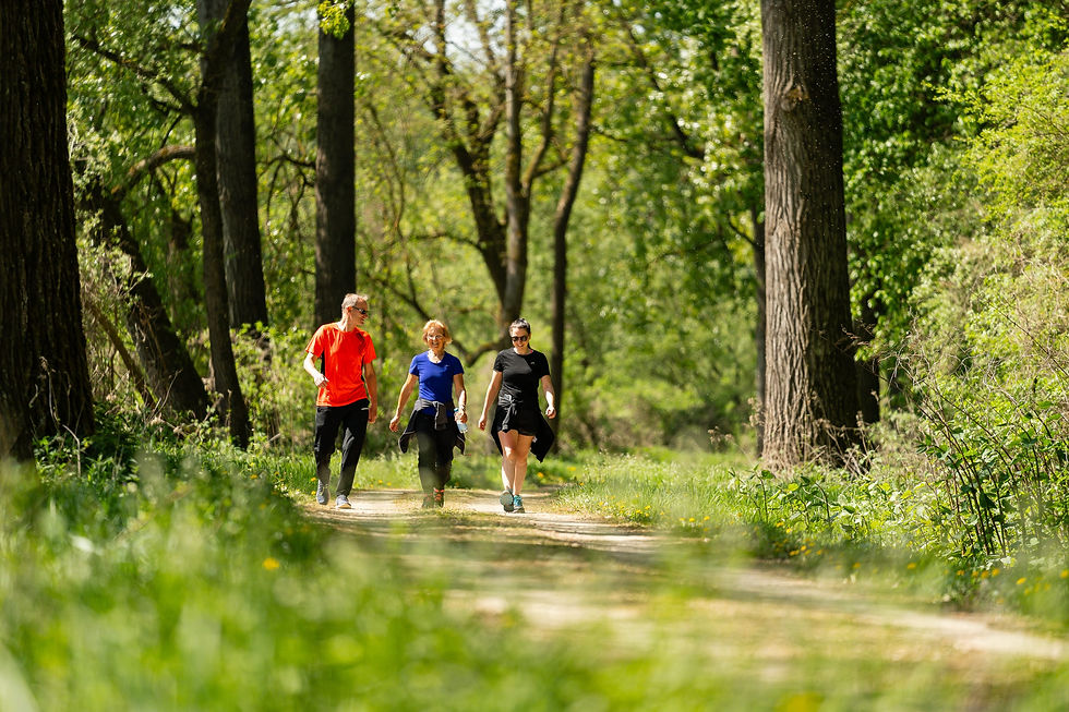 avd_20260503_113045_A7402557
