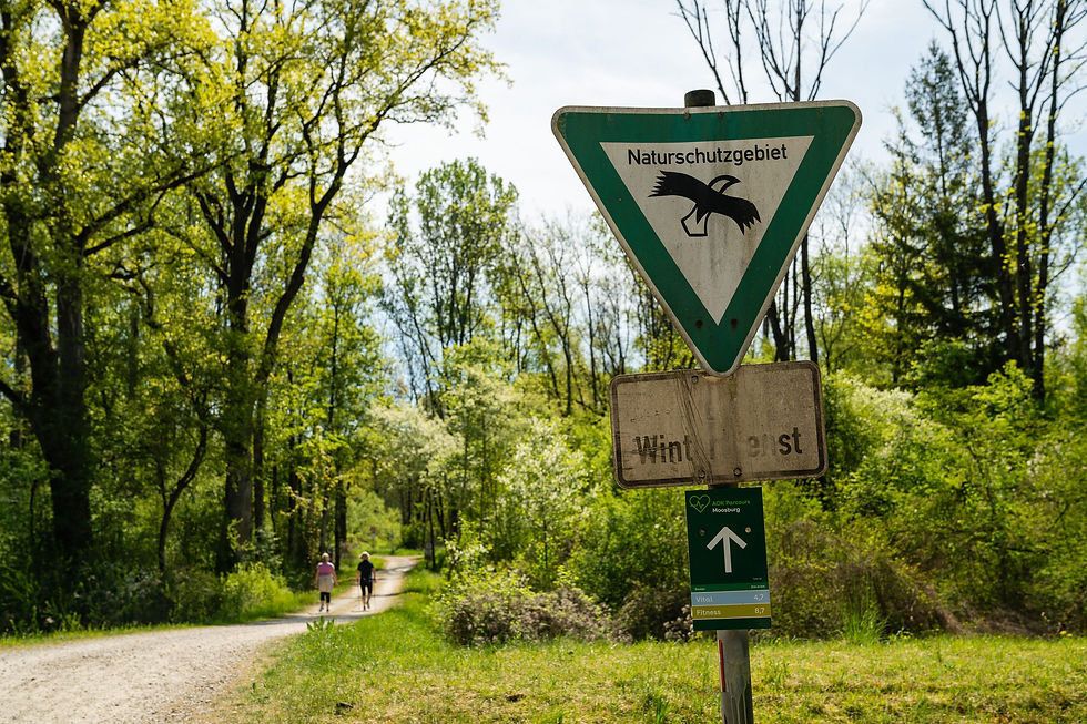 avd_20260503_110804_A7402372