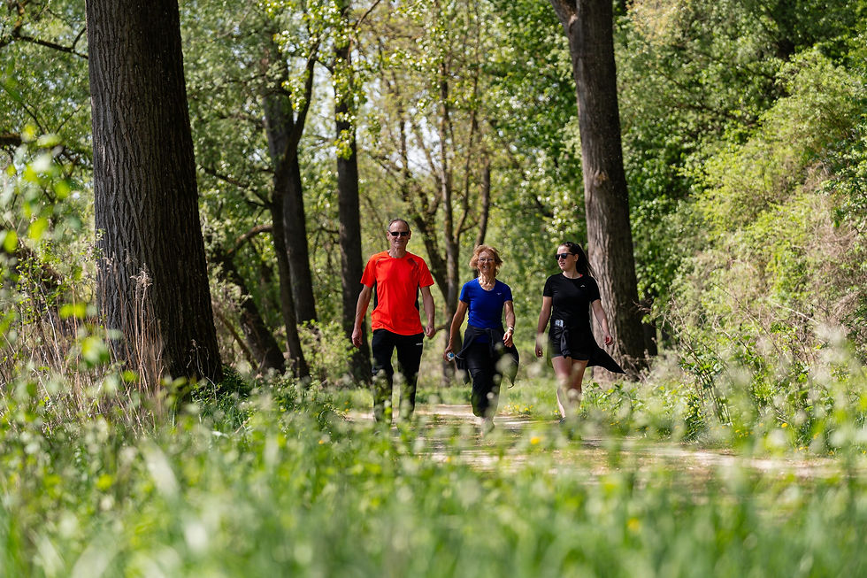 avd_20260503_113059_A7402573