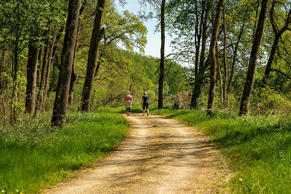 avd_20260503_110935_A7402389