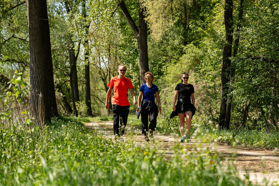 avd_20260503_113105_A7402590