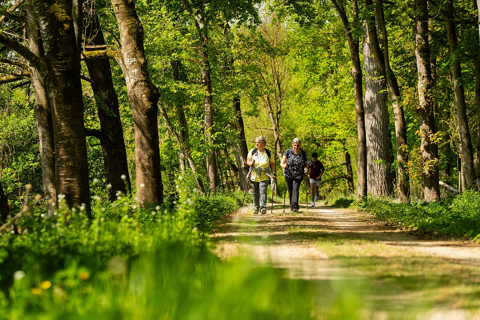avd_20260503_111503_A7402429