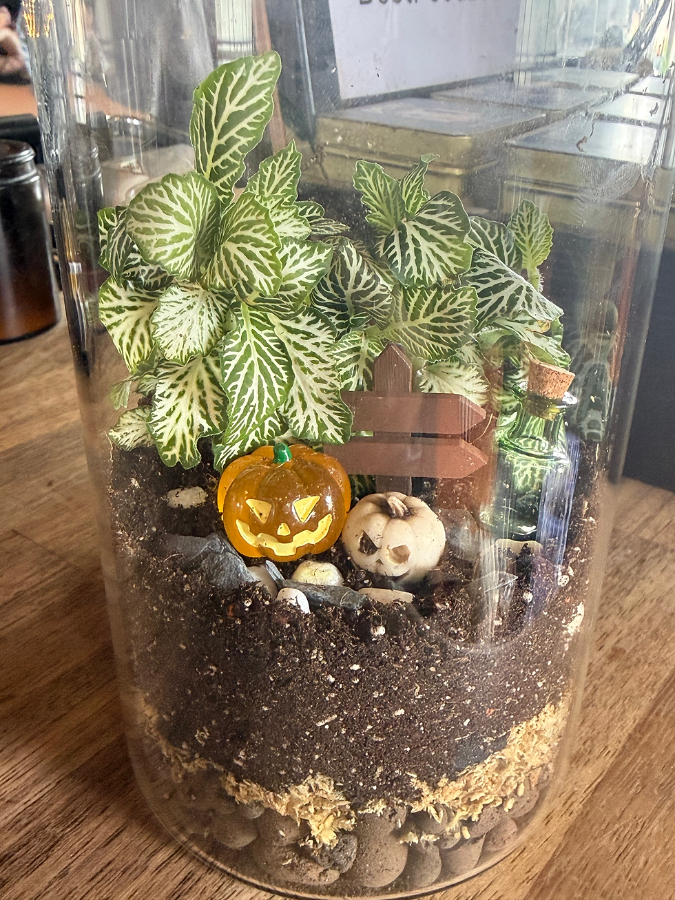 Halloween terrarium workshop
