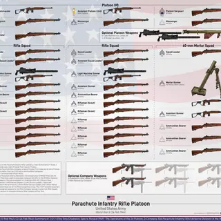 U.S. Army Parachute RIfle Platoon Graphic (Feb 1944)