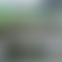 German Manuals & TO&Es (Cold War)