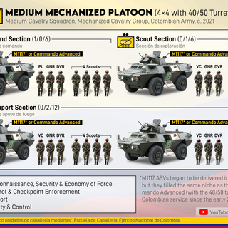 Colombian Army Platoon & Section Graphics (Mission Style)