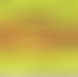 Original South Vietnam Airborne Division TO&Es