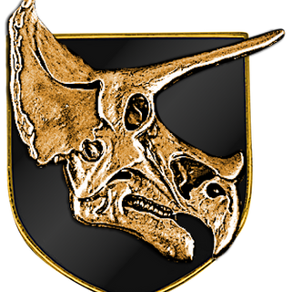 Task Force: 66th Shock Regiment