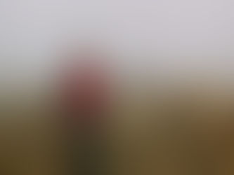 SPOTLIGHT ON: CATHERINE DUCKER