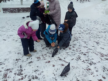 IMG_20190213_112157.jpg