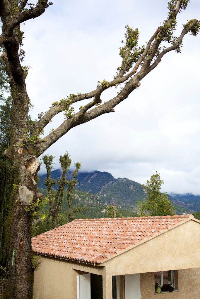 Miniature : LOCATION du 28 juin 2014  au 5 juillet 2014