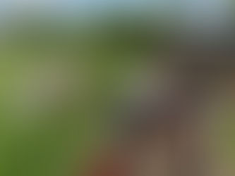 Week 6 Recap: Earth's Heroes