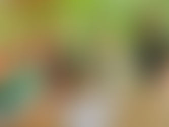 Week 7: Developing Detectives 