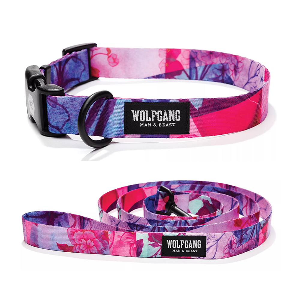 COLLAR Y TIRAPERRO WOLFGANG DAYDREAM