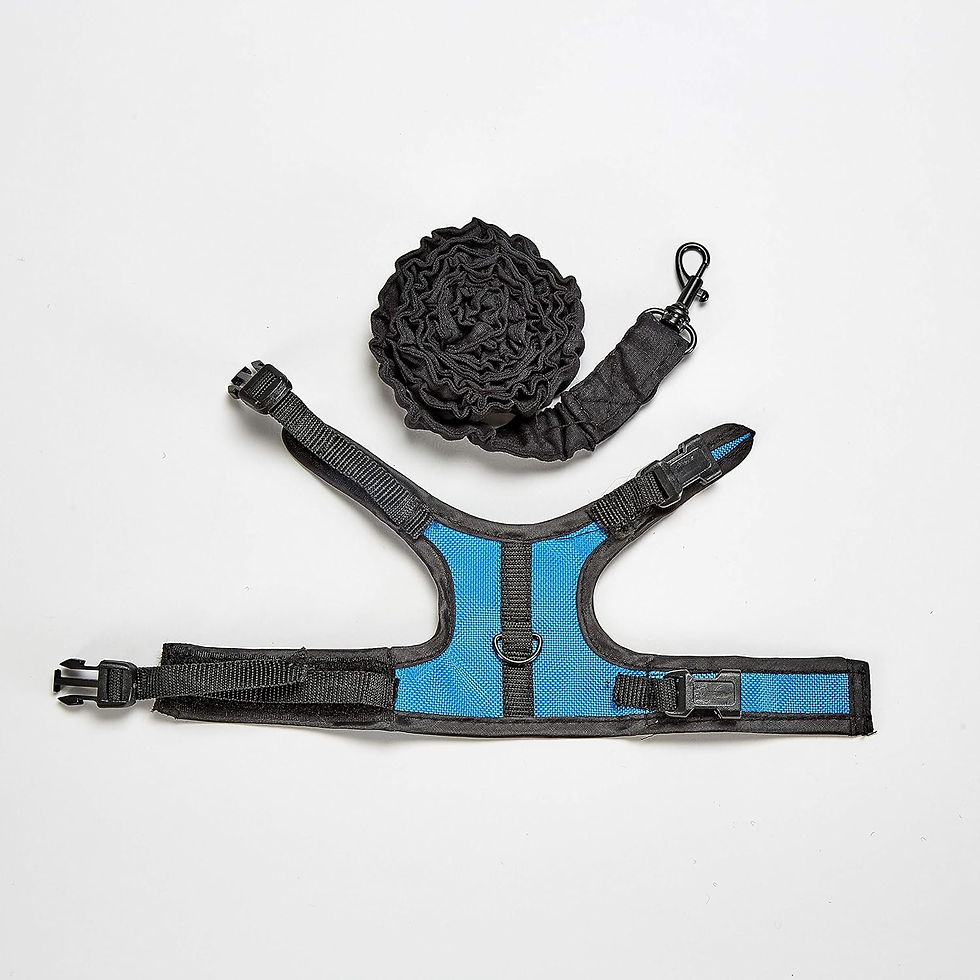 Miniatura: COMFORT HARNESS & STRETCHY LEASH – ARNÉS Y CORREA ELÁSTICA