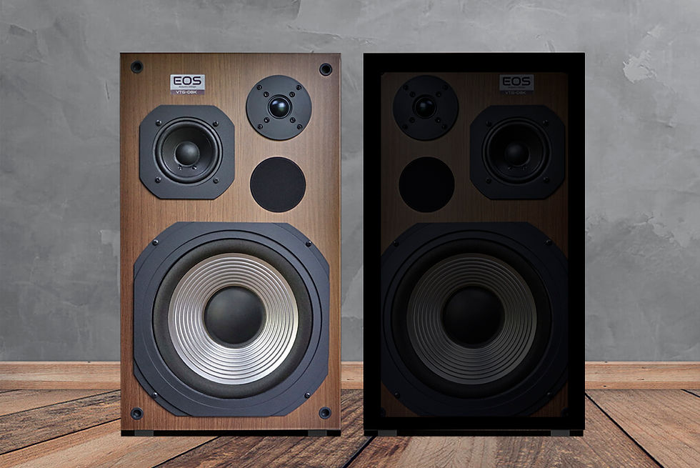 Miniatura: EOS VTG-DBK Limited Edition (PAR)