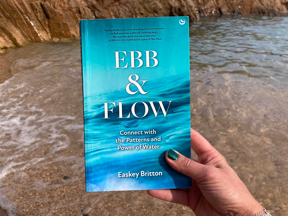 A hand is holding the book Ebb and Flow. In the background there is water and a rock. It is a beach scene.