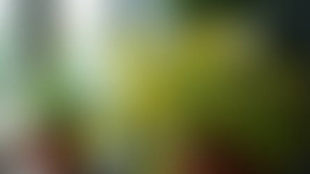 How to Revive Struggling Plants: Your Friendly Guide to Bringing Green Back to Life