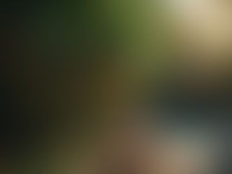 Heliconia: Instant "Bali Resort" Vibes (and Privacy!) 🦜