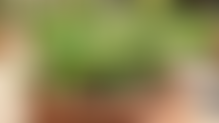 The "Taco Night" Garden Guide