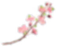 10 (3).png