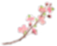 10 (3).png