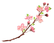 10 (3).png