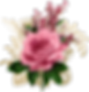 1 (3).png