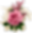 1 (3).png