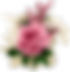 1 (3).png