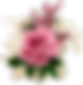 1 (3).png
