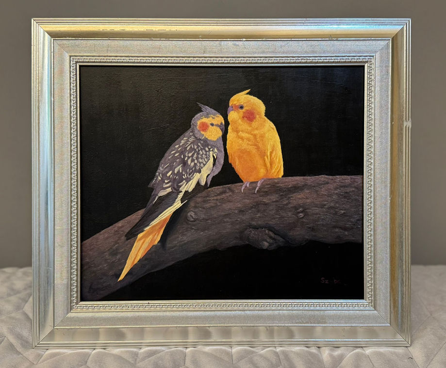 Original oil painting of two cockatiel parrots sitting on a tree trunk with a black background. One bird is grey with yellow spots on its wings, a yellow tail and face with a red spot on its cheek. He other is all golden yellow with a red spot on its cheek.