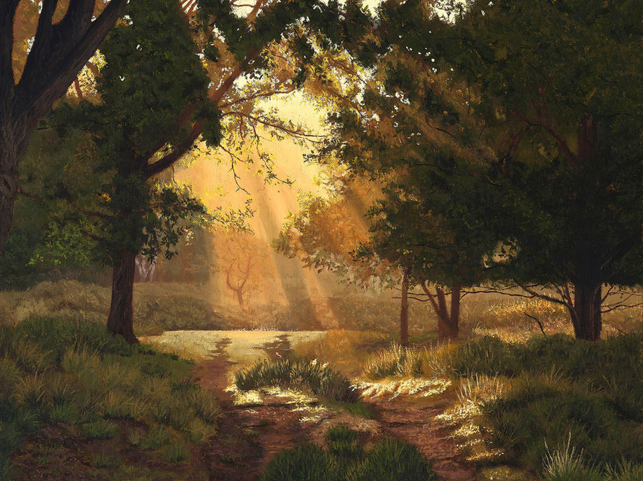 Original oil painting of a forest with golden beams of light breaking through the canopy.