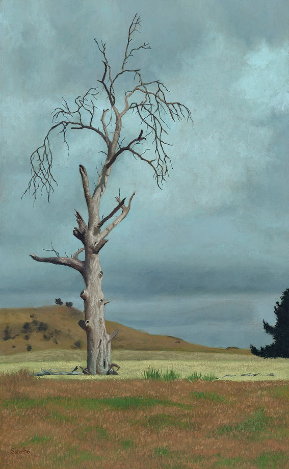Original oil painting showcasing a dead tree in Tasmania under a grey cloudy sky.