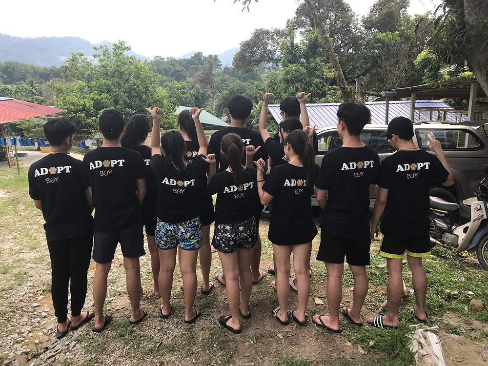 Shirt printing