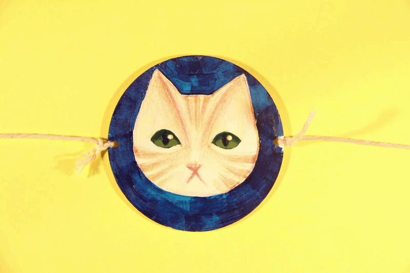 Night_Day Kitty.gif