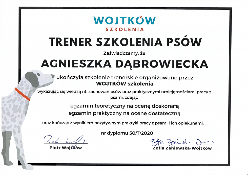 Trenerski Wojtków