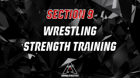 Wrestling Strength Training Program