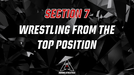 Section 7: Wrestling from the Top Position
