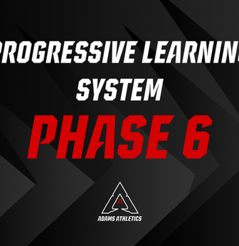 The Progressive Learning System: Phase 6