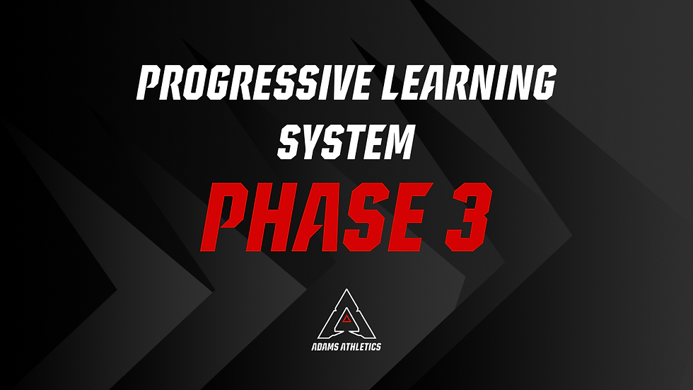 The Progressive Learning System: Phase 3