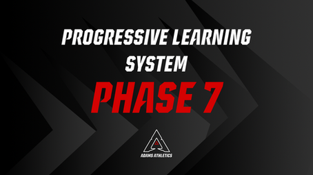 The Progressive Learning System: Phase 7