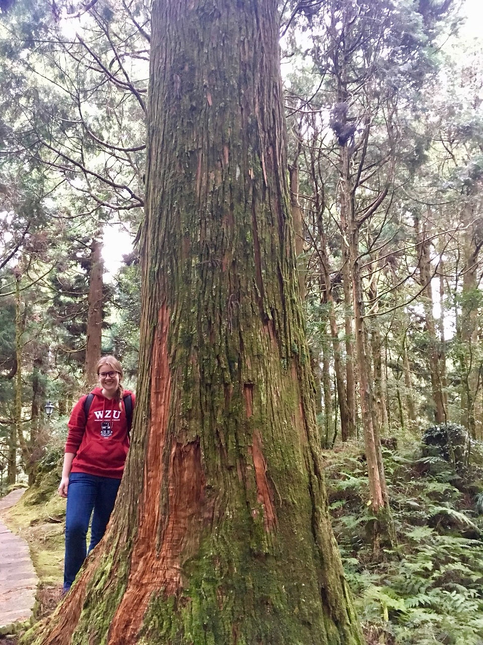 Alishan_22
