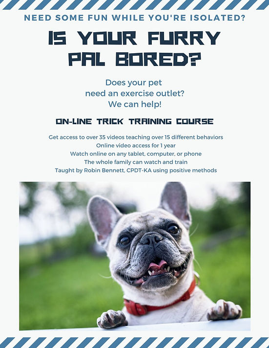 trick training flyer.jpeg