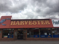 12348543_849021265218173_370983154_n