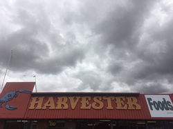 12358217_849021275218172_221844834_n