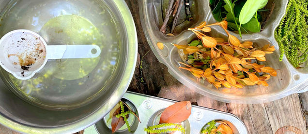 Nature Soup